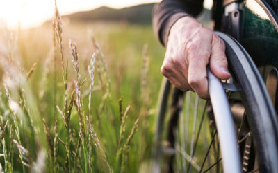 Wispact Launches Wispact Foundation Endowment Fund
