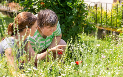 Wispact Provides $168K to Wisconsin Non-Profits From its Inaugural  Wispact Legacy Grant