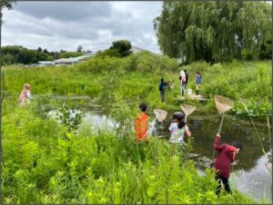 Streich Wetlands - NMP