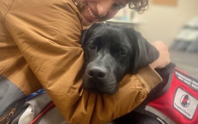 Transforming Lives Through Canine Companions: DogsInVests and Wispact Foundation Team Up for Autism Support