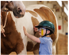 Equine-Assisted Programming
